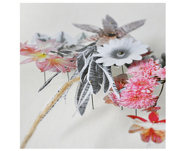 Anne Ten Donkelaar Flower constructions