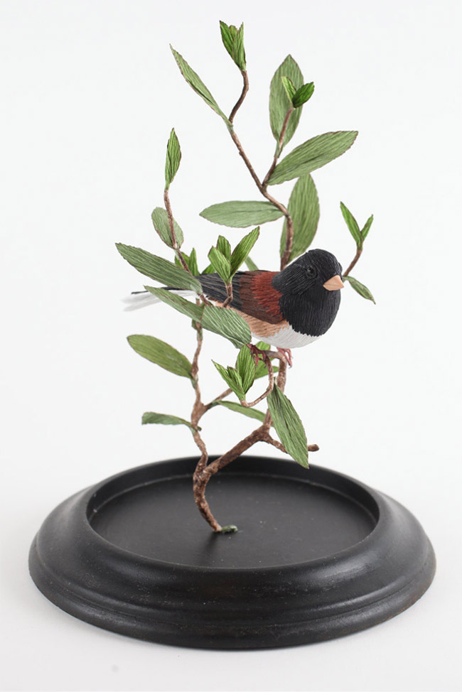 Vegan Taxidermy