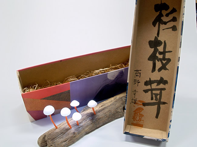Yukio Takano