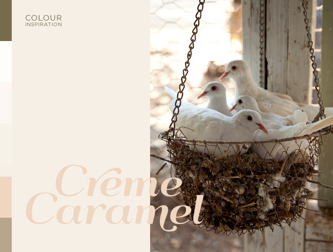 Colour Inspiration - Creme Caramel
